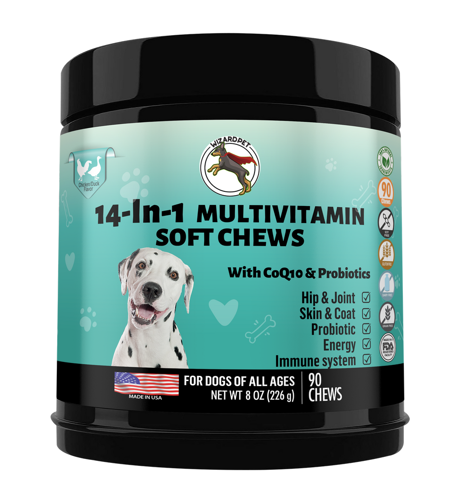 are multivitamins good for dogs